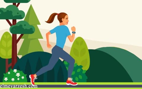 ورزش هوازی چیست و چه تاثیری بر بدن ما دارد؟
